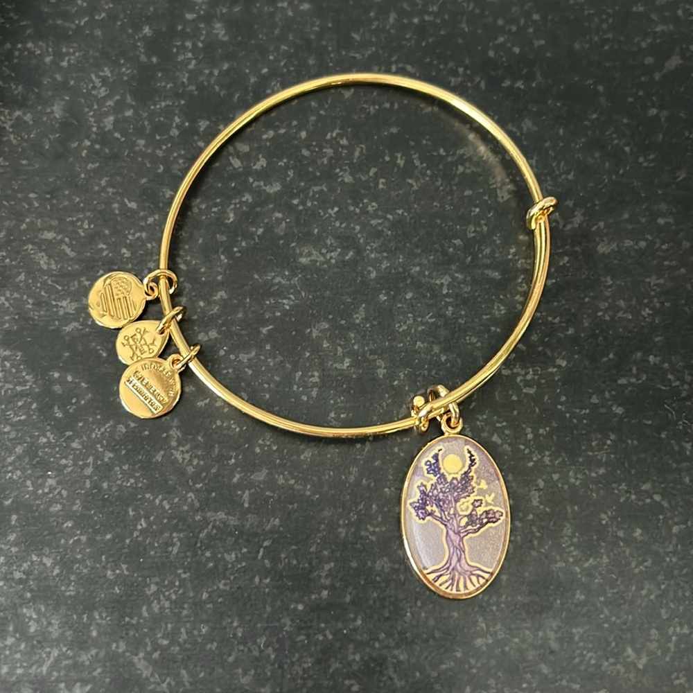 Alex & Ani adjustable bracelets - Picture 2 of 4